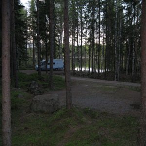 043. Delfin i Glaskogen