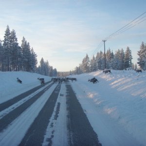 Jul Och NyÅr 2009