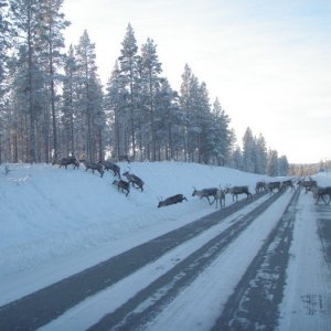 Jul Och NyÅr 2009
