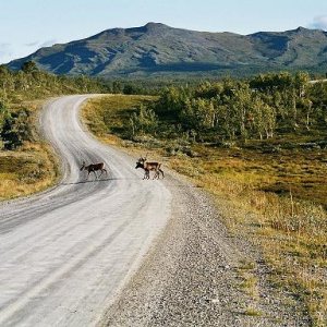 Ulf o Ann-Britt