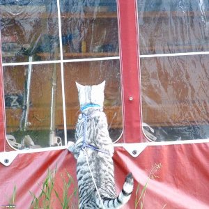 Är det någon hemma?