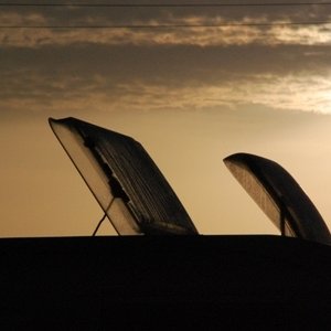 Takluckor I Morgonsol