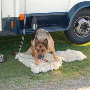 Första Årsmötet Floby