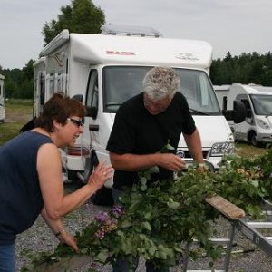 midsommar 2007