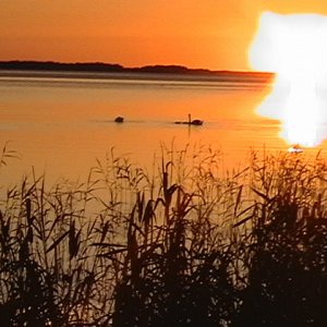 Sverige 07