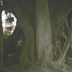 marocko8