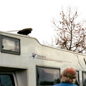 marocko60