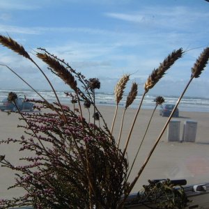 20060903-01Blokhus