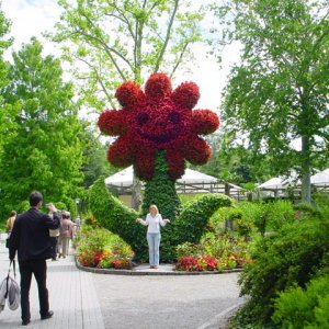 MAINAU 2007