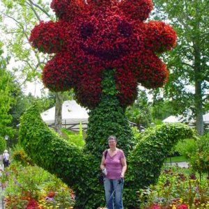 MAINAU 2007