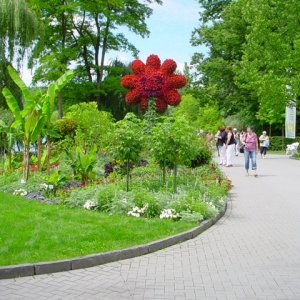 MAINAU 2007