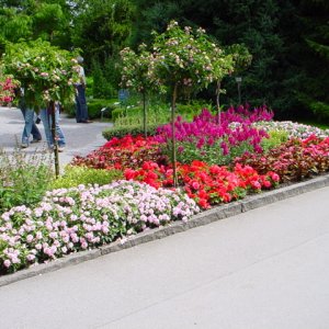 MAINAU 2007