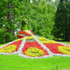 MAINAU 2007