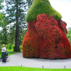 MAINAU 2007