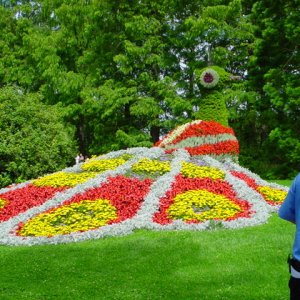 MAINAU 2007