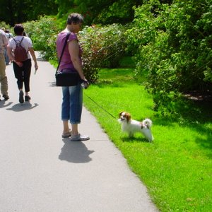 MAINAU 2007
