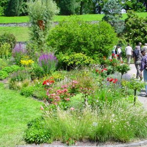 MAINAU 2007
