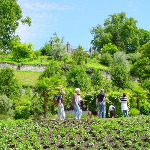 MAINAU 2007