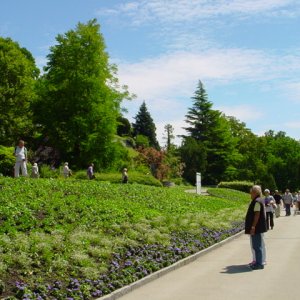 MAINAU 2007