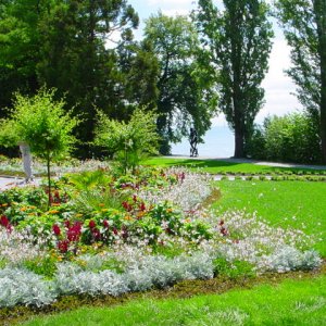 MAINAU 2007