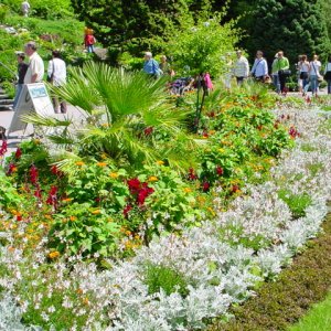 MAINAU 2007
