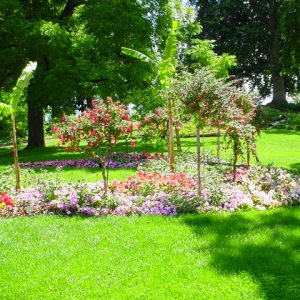 MAINAU 2007