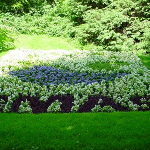 MAINAU 2007