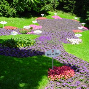 MAINAU 2007