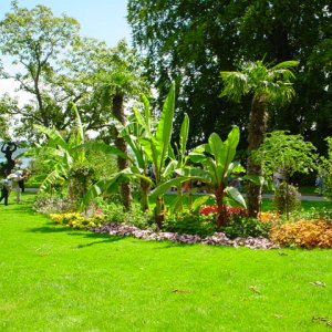 MAINAU 2007