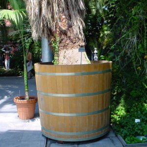 MAINAU 2007