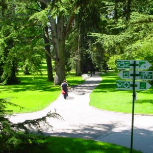 MAINAU 2007