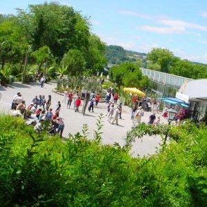 MAINAU 2007
