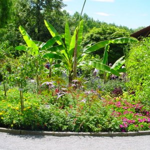 MAINAU 2007