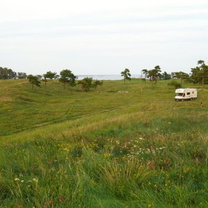 Rinkaby