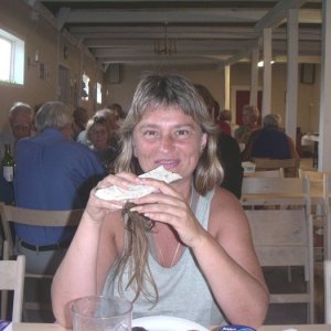 070810029 Skattegården