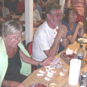070811070 Skattegården