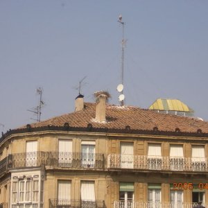 Haro 2005-04