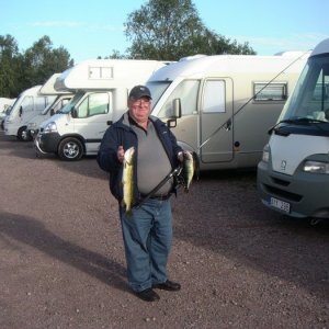 070826096 Figeholmträffen