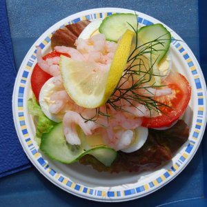 Tjällmo Hembygdscafé  2009