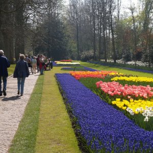 Keukenhof apr -07