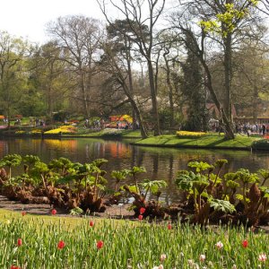 Keukenhof apr -07