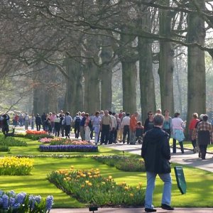 Keukenhof apr -07