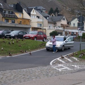Mosel Apr -06