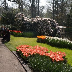 Keukenhof apr 07
