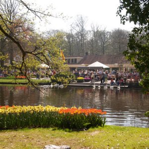 Keukenhof apr 07