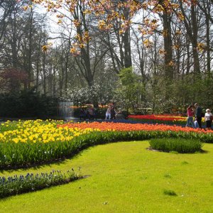 Keukenhof apr 07