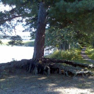 Sommarminne Degerfors