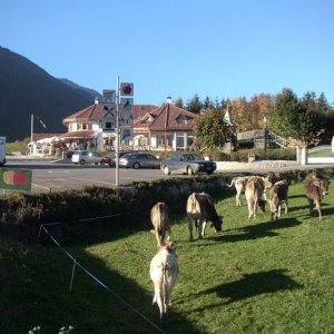 071015041 Italien, Reschenpass