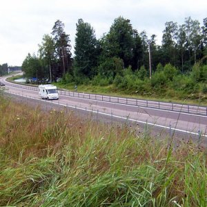 Sommarbilder