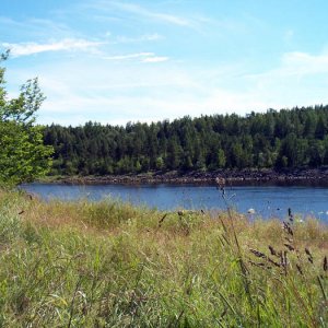 Sommarbilder
